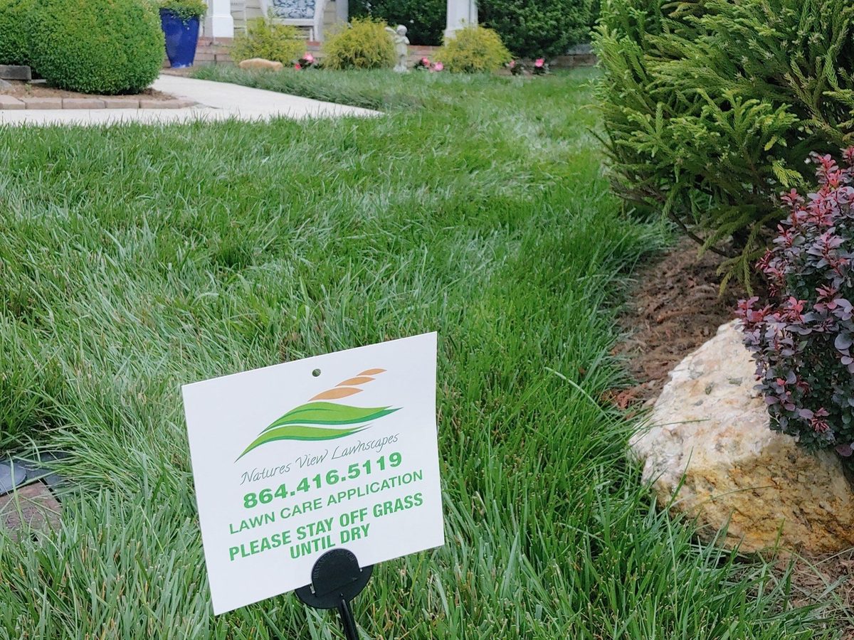 Nature's View Lawnscapes lawn transformation